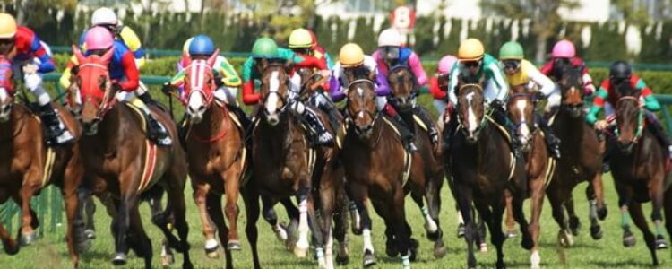 2023年8月5日(土)注目馬☆推薦馬&参考買い目 2023年8月5日(土)注目馬☆推薦馬&参考買い目