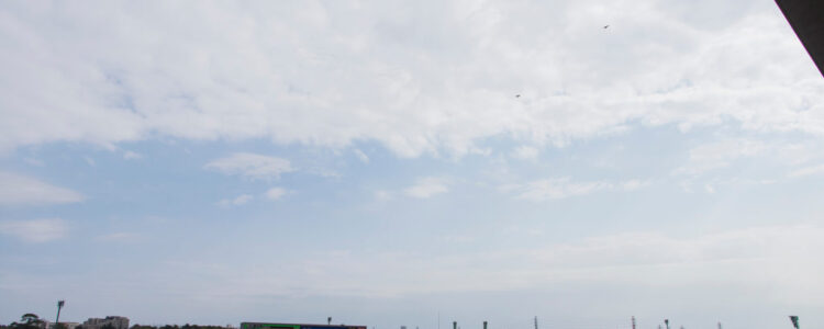 2023年4月29日（土）注目馬☆推薦馬＆参考買い目