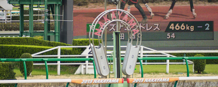 2022年3月13日(日)注目馬☆推薦馬&参考買い目 2022年3月13日(日)注目馬☆推薦馬&参考買い目