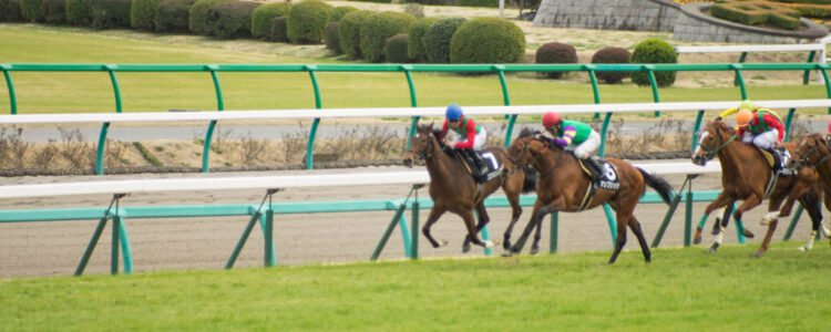 2024年3月16日（土）注目馬☆推薦馬＆参考買い目