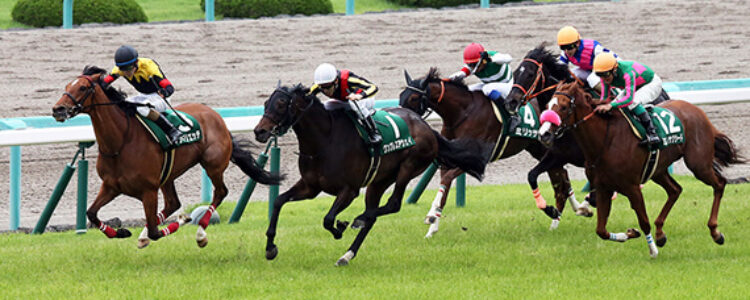2022年7月23日（土）注目馬☆推薦馬＆参考買い目
