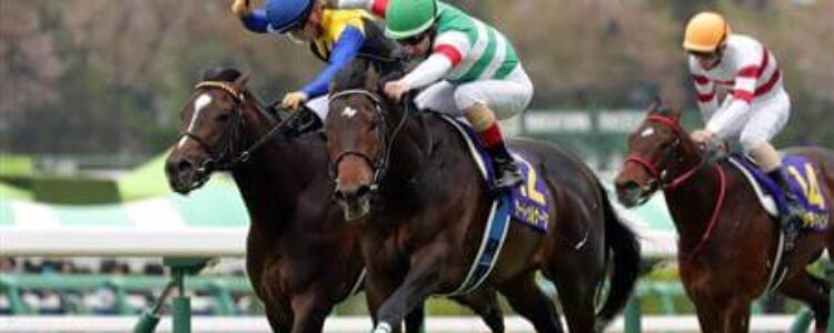 2022年5月21日(土)注目馬☆推薦馬&参考買い目 2022年5月21日(土)注目馬☆推薦馬&参考買い目