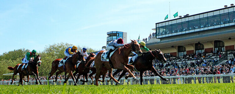 先週を振り返り・・・(2022年11月19日、11月20日) 先週を振り返り・・・(2022年11月19日、11月20日)