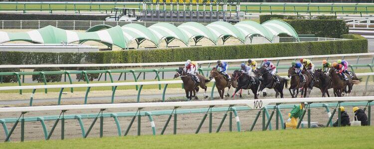 今更フェブラリーステークスを振り返り・・・(2022年2月20日) 今更フェブラリーステークスを振り返り・・・(2022年2月20日)