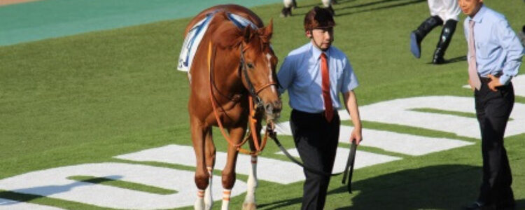 2022年3月5日(土)注目馬☆推薦馬&参考買い目 2022年3月5日(土)注目馬☆推薦馬&参考買い目