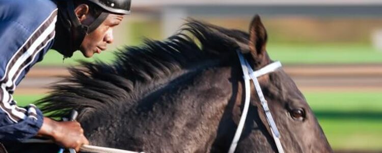 先週を振り返り・・・（2022年9月10日、9月11日）