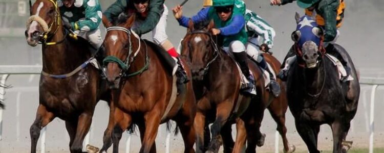 2023年8月20日(日)注目馬☆推薦馬&参考買い目 2023年8月20日(日)注目馬☆推薦馬&参考買い目