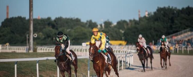 2021年8月28日、29日（日）注目馬☆推薦馬