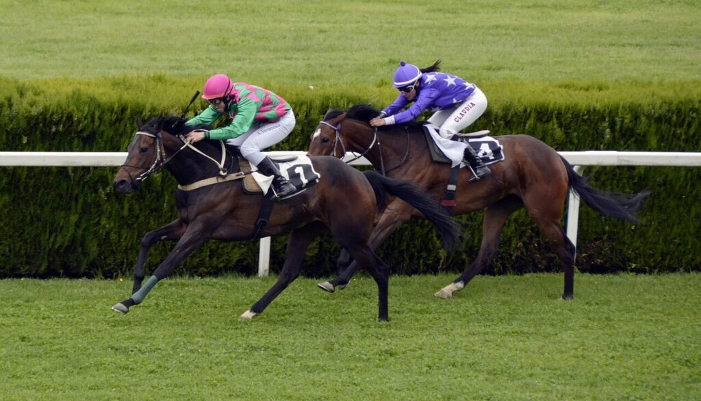 Horse Racing 1577292 1280