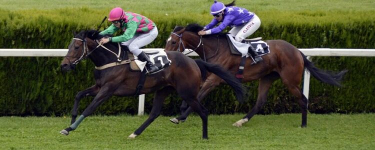 2021年10月23日(土)注目馬☆推薦馬&参考買い目 2021年10月23日(土)注目馬☆推薦馬&参考買い目