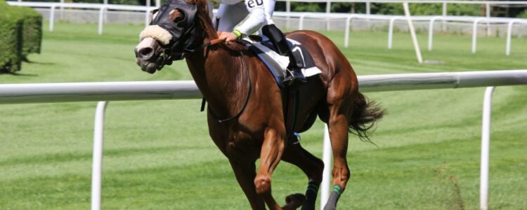 2022年4月23日(土)注目馬☆推薦馬&参考買い目 2022年4月23日(土)注目馬☆推薦馬&参考買い目