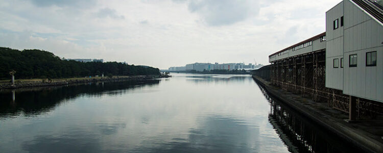 2022年2月5日(土)注目馬☆推薦馬&参考買い目 2022年2月5日(土)注目馬☆推薦馬&参考買い目