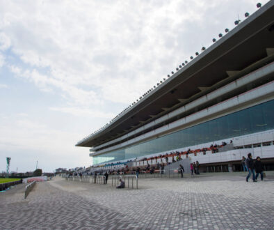 photo0000-4215 photo0000-4215