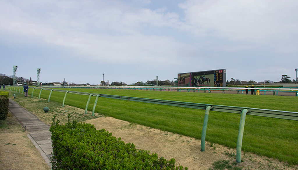 photo0000-4217 photo0000-4217