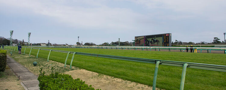 先週を振り返り・・・（2022年10月15日、10月16日）