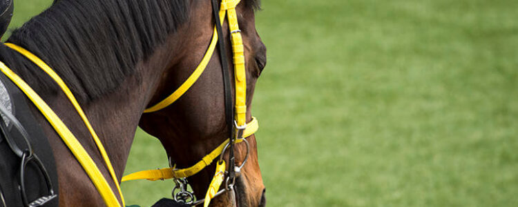 先週を振り返り・・・（2021年12月11日、12月12日）