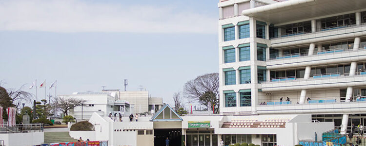 高松宮記念(GI) &重賞 総合指数表(確定前) 高松宮記念(GI) &重賞 総合指数表(確定前)