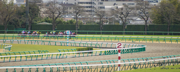 2023年4月30日（日）天皇賞（春）総合指数表＆注目馬☆推薦馬＆参考買い目