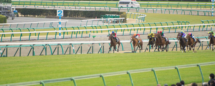 2022年6月12日（日）注目馬☆推薦馬＆参考買い目