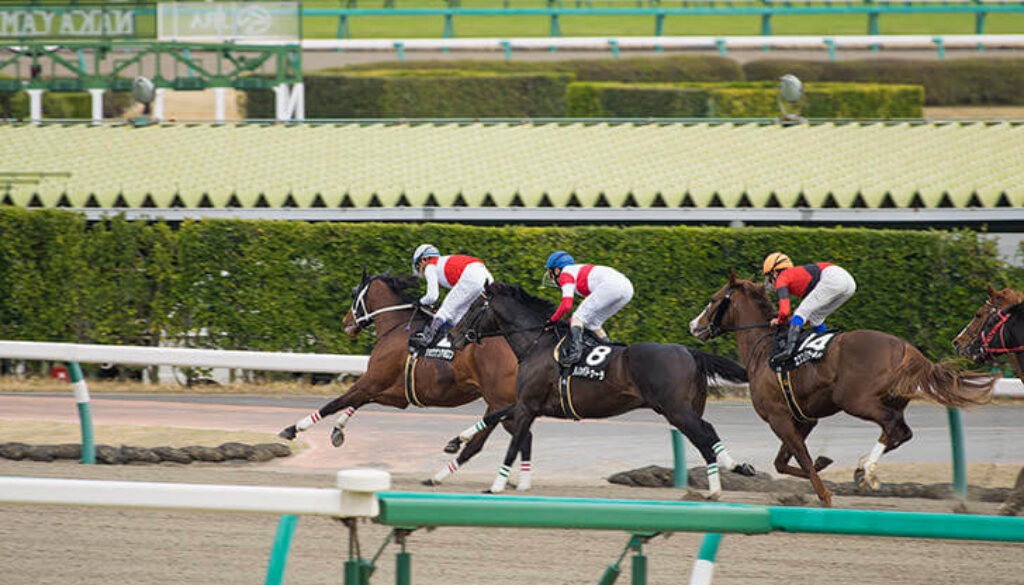 photo0000-4276 photo0000-4276