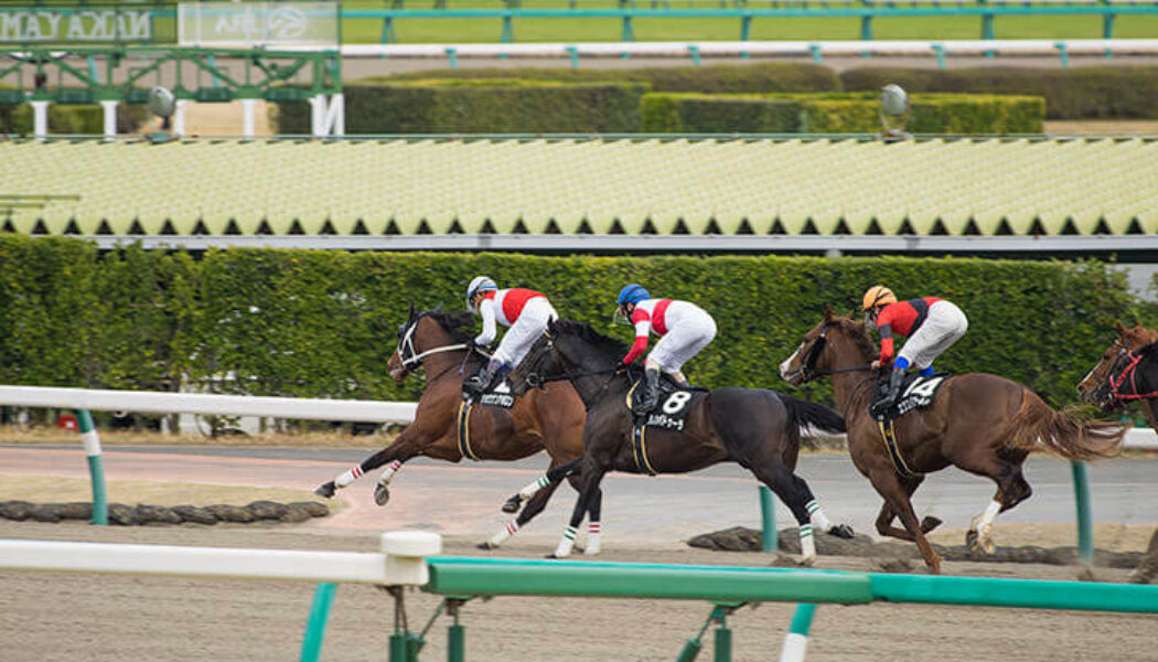 2023年7月12日（水）ジャパンダートダービー（大井）
