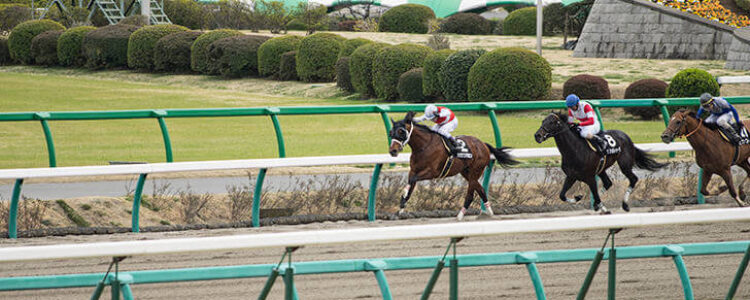 2022年5月22日(日)注目馬☆推薦馬&参考買い目 2022年5月22日(日)注目馬☆推薦馬&参考買い目