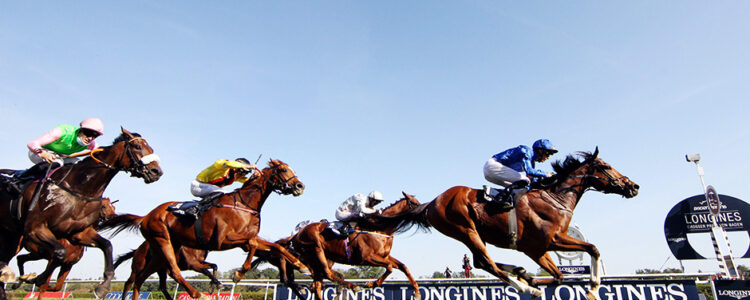 2022年2月6日(日)注目馬☆推薦馬&参考買い目 2022年2月6日(日)注目馬☆推薦馬&参考買い目