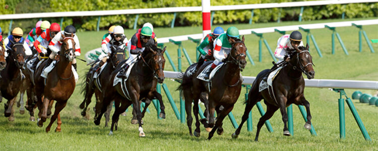 2023年8月19日(土)注目馬☆推薦馬&参考買い目 2023年8月19日(土)注目馬☆推薦馬&参考買い目