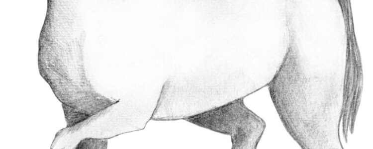 今週の注目馬☆推薦馬