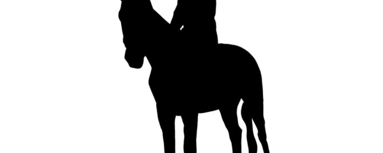 2024年2月4日(日)注目馬☆推薦馬&参考買い目 2024年2月4日(日)注目馬☆推薦馬&参考買い目