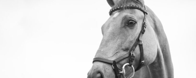 先週を振り返り・・・（2022年8月20日、8月21日）