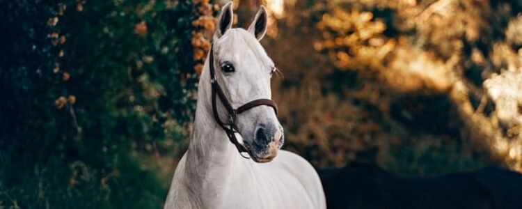 先週を振り返り・・・（2021年12月25日、12月26日、12月28日）