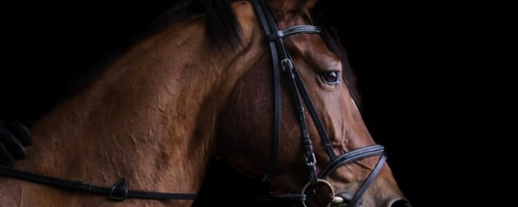 先週を振り返り・・・(2023年3月4日、3月5日) 先週を振り返り・・・(2023年3月4日、3月5日)