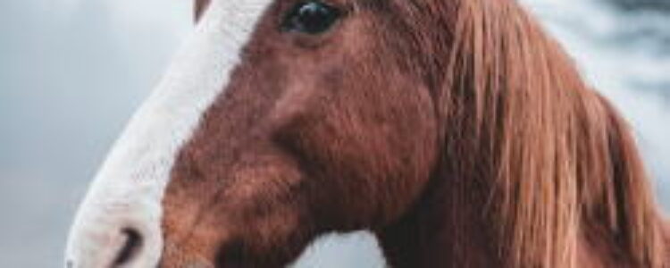 先週を振り返り・・・(2022年12月10日、12月11日) 先週を振り返り・・・(2022年12月10日、12月11日)