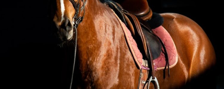 2023年7月1日（土）注目馬☆推薦馬＆参考買い目