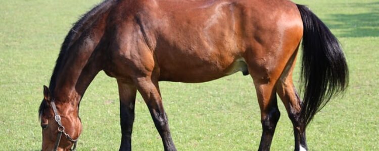 先週を振り返り・・・(2022年3月5日、3月6日) 先週を振り返り・・・(2022年3月5日、3月6日)