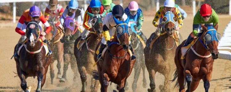 2023年4月16日(日)注目馬☆推薦馬&参考買い目 2023年4月16日(日)注目馬☆推薦馬&参考買い目