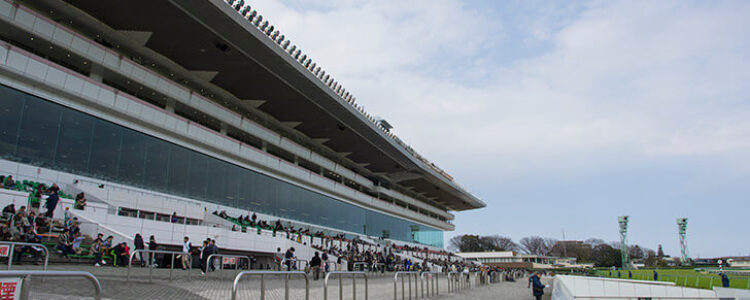 2024年1月6日(土)注目馬☆推薦馬&参考買い目 2024年1月6日(土)注目馬☆推薦馬&参考買い目