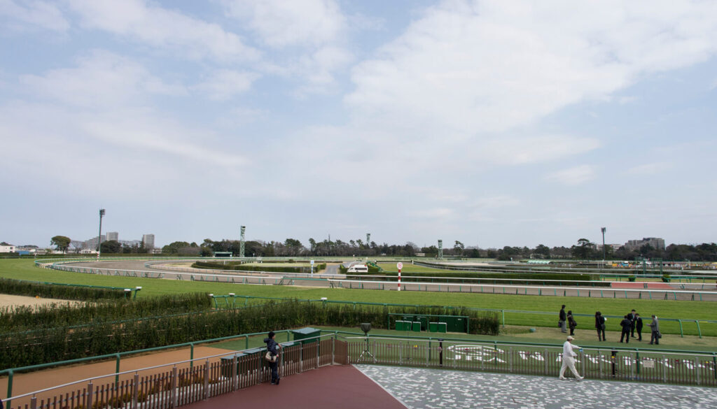 Photo0000 4224 Photo0000 4224