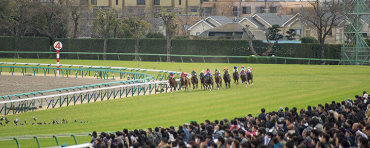 スプリンターズステークス（GI)　前々日　総合指数表
