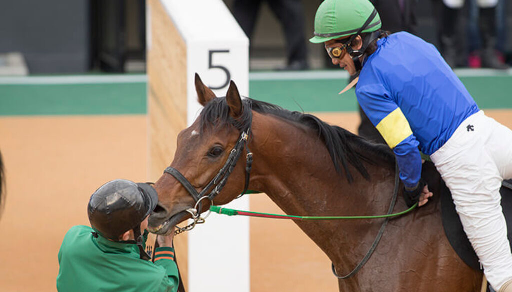 Photo0000 4281 Photo0000 4281