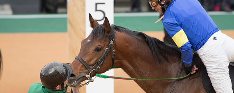 先週を振り返り・・・(2023年2月25日、2月26日) 先週を振り返り・・・(2023年2月25日、2月26日)