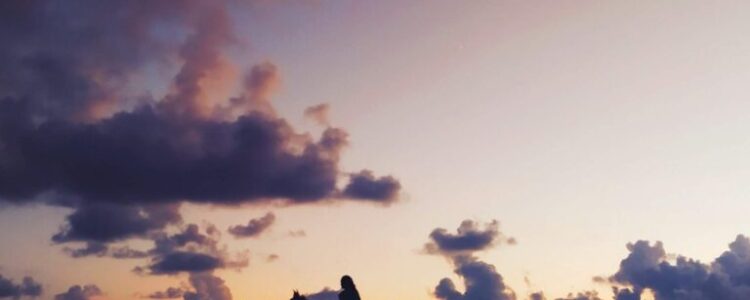 2022年10月1日（土）注目馬☆推薦馬＆参考買い目