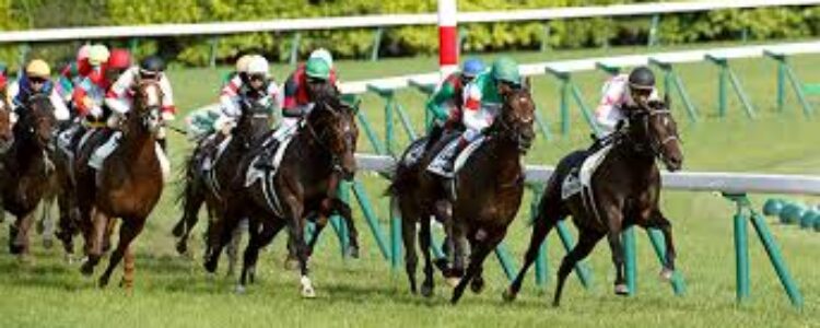 マイルCS~総合指数表&2022年11月19日(土)注目馬☆推薦馬&参考買い目 マイルCS~総合指数表&2022年11月19日(土)注目馬☆推薦馬&参考買い目