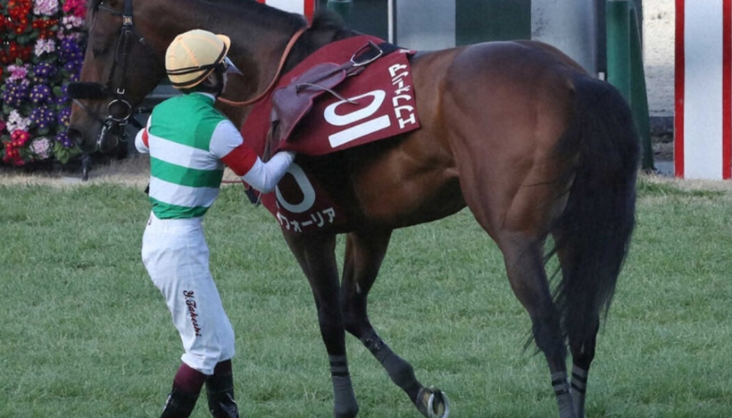 最近のダートレースはスローが多い・・・