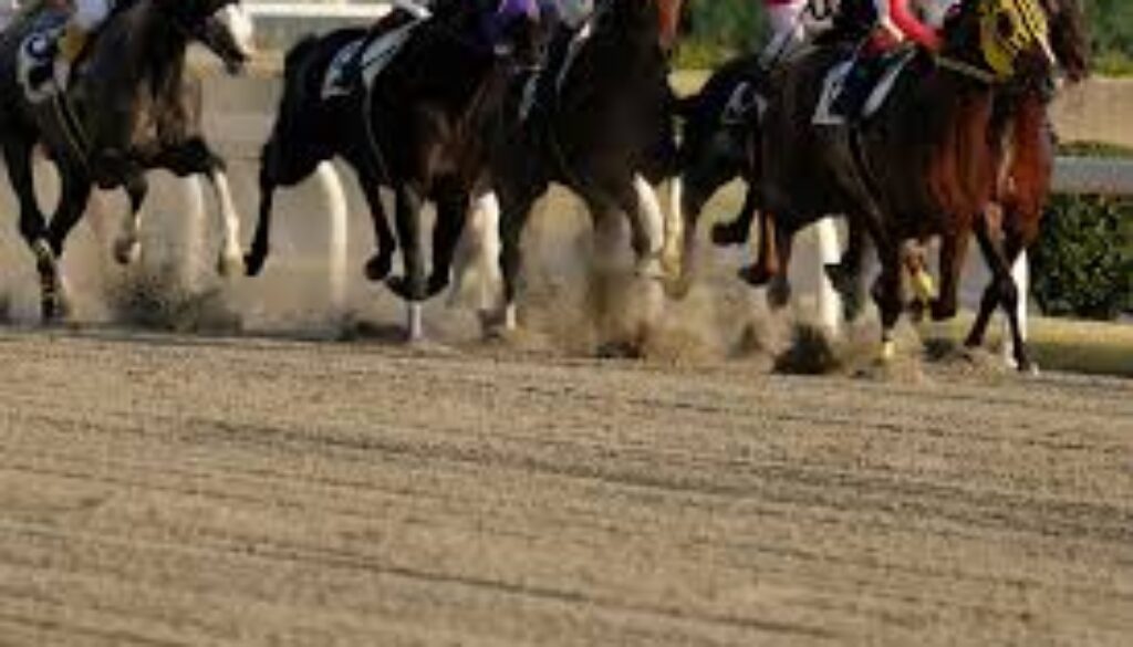 AdobeStock 303833408