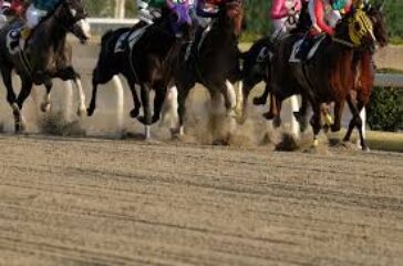 AdobeStock 303833408