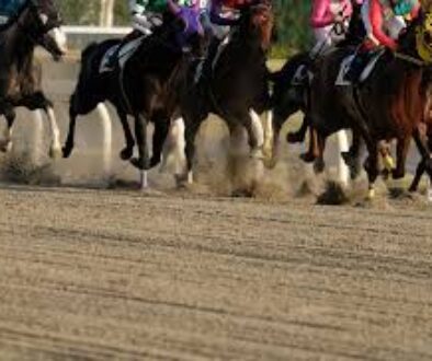 AdobeStock 303833408 AdobeStock 303833408