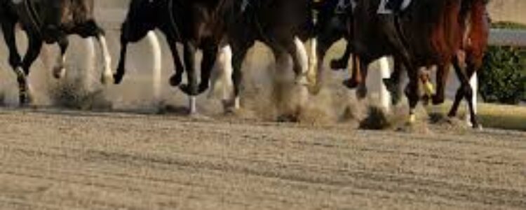 続・レモンポップは最強なのか? 続・レモンポップは最強なのか?