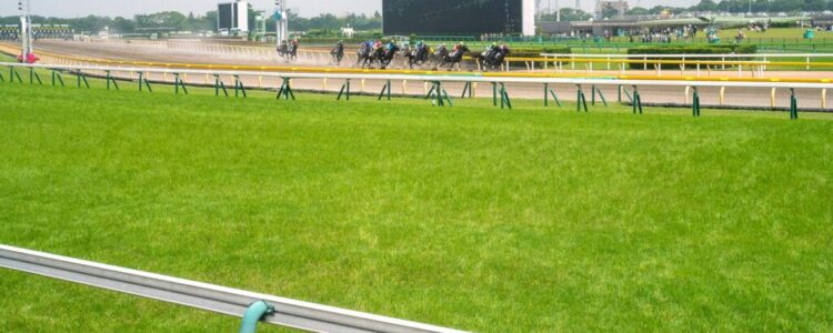 フェブラリーステークス(GI) 総合指数表(枠確定前) フェブラリーステークス(GI) 総合指数表(枠確定前)